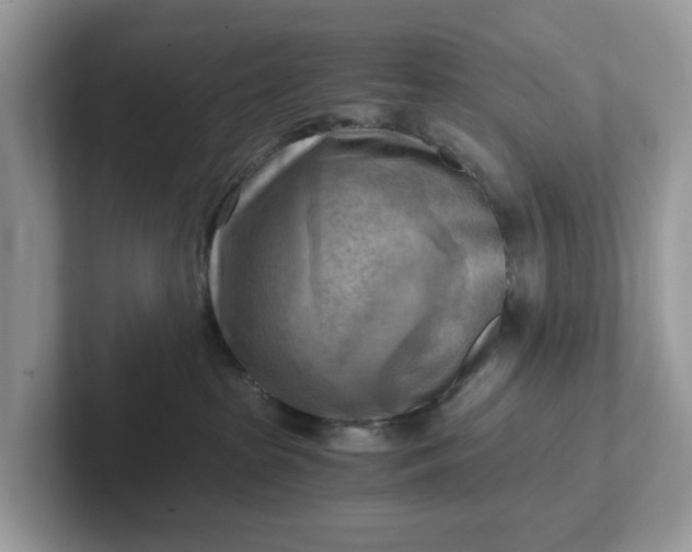 X0000101410285200807211102