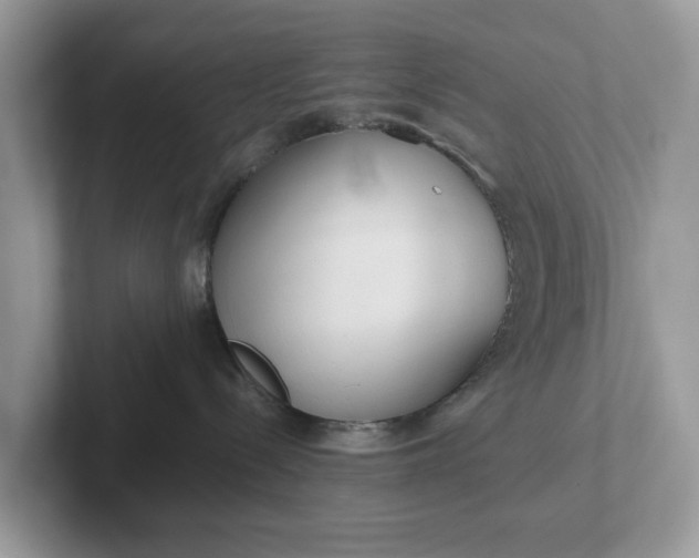 X0000101410288200807211102