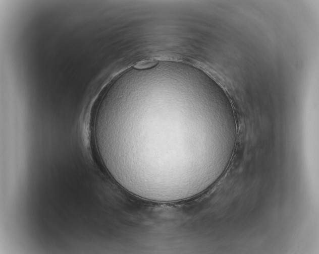 X0000101410290200807211101