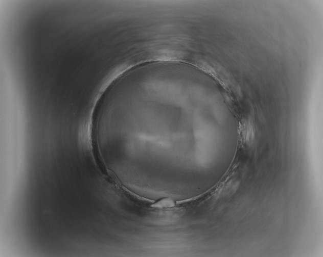 X0000101410292200807211101