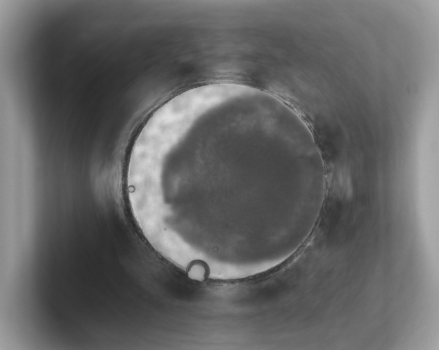 X0000101410293200807211101