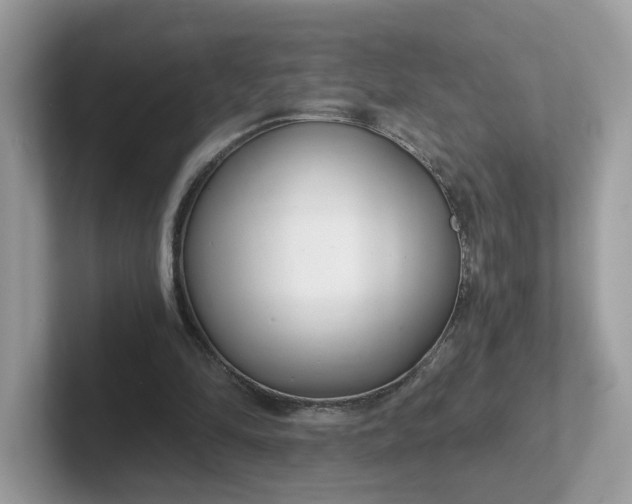 X0000101410294200807211101