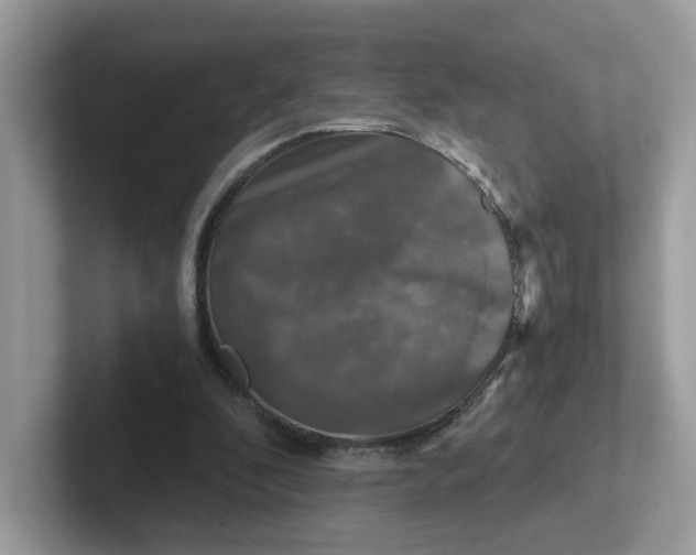 X0000101410296200807211101