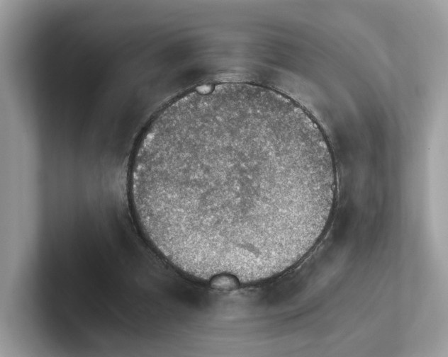 X0000101410297200807211101