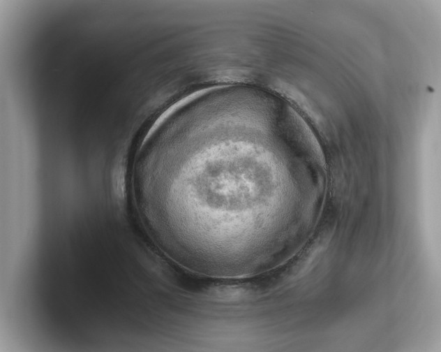 X0000101410299200807211101