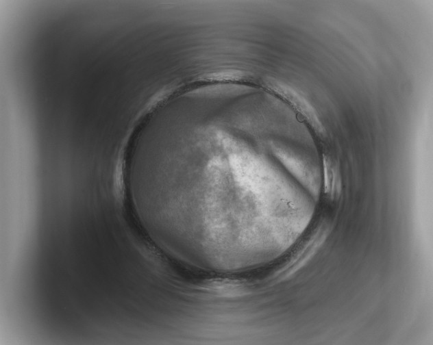 X0000101410300200807211101