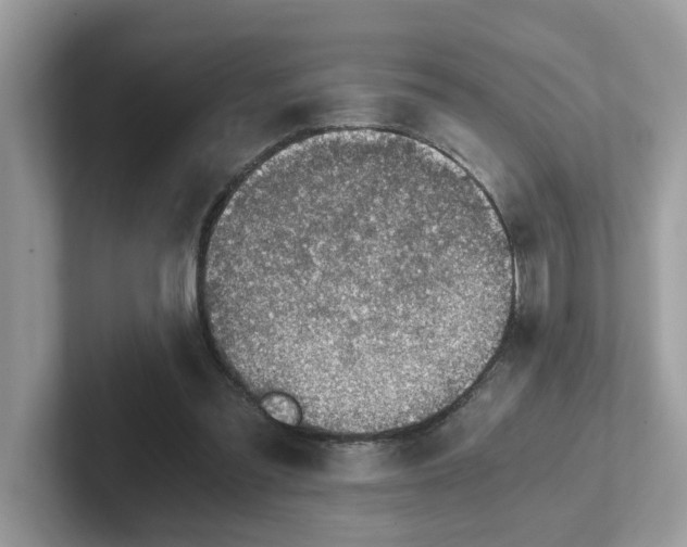 X0000101410301200807211101