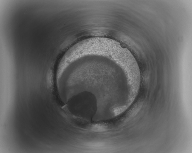 X0000101410303200807211101