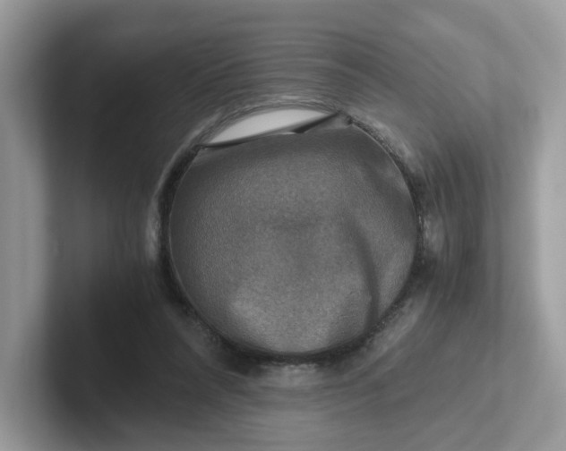 X0000101410304200807211101