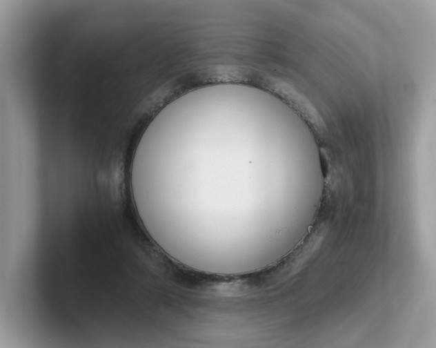 X0000101410306200807211101