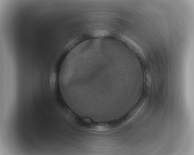 X0000101410308200807211101