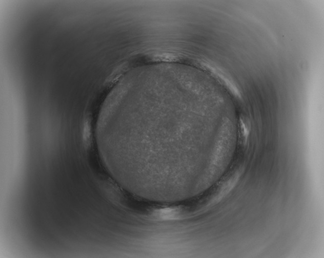 X0000101410312200807211101