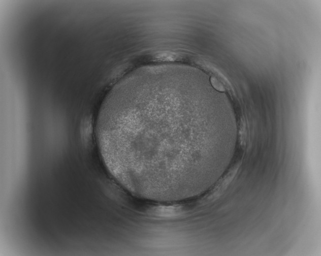 X0000101410314200807211101