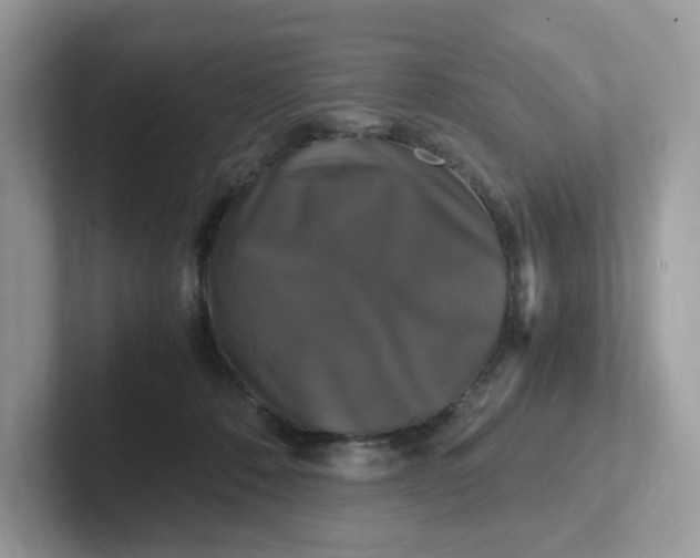 X0000101410320200807211101