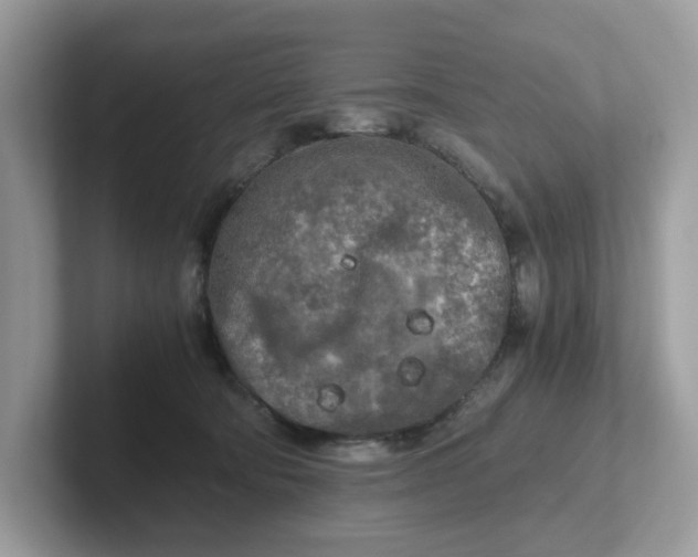 X0000101410322200807211101