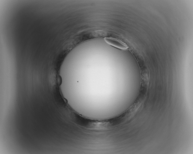 X0000101410323200807211101