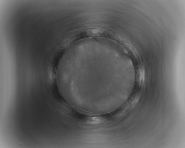 X0000101410324200807211101