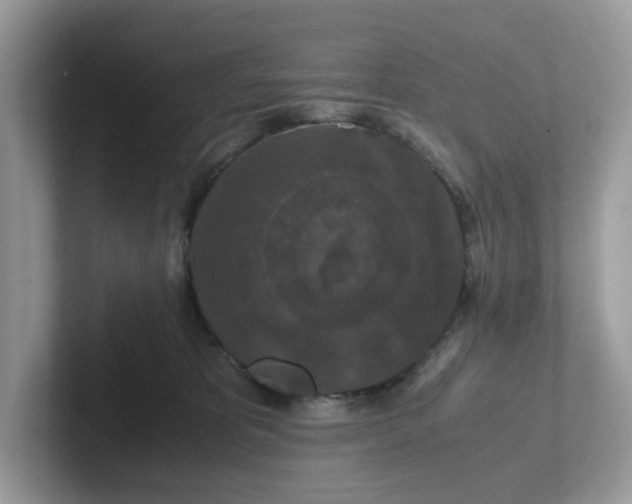 X0000101410325200807211101