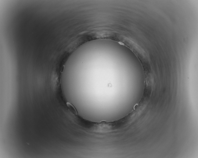 X0000101410327200807211101