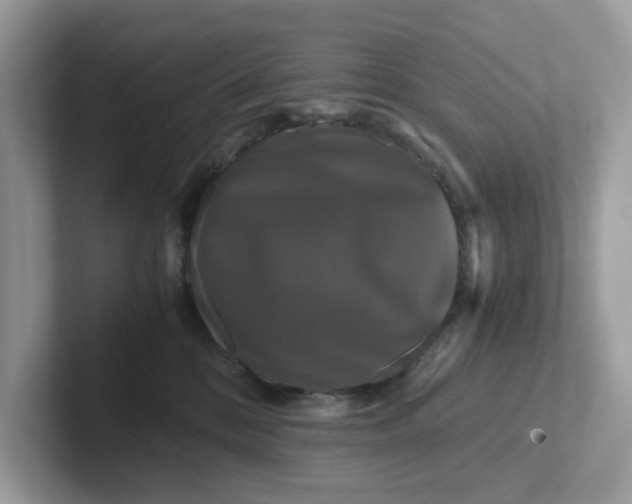 X0000101410328200807211101