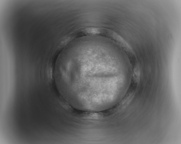 X0000101410330200807211101