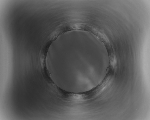 X0000101410332200807211101