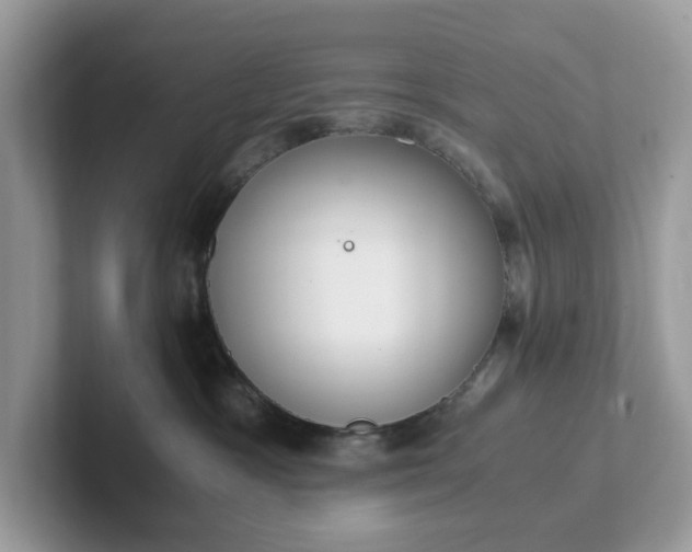 X0000101410333200807211101