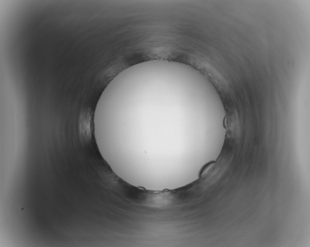 X0000101410334200807211101