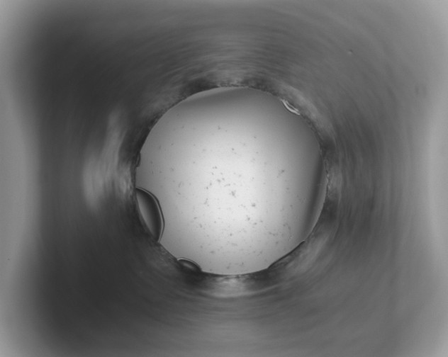 X0000101410335200807211101