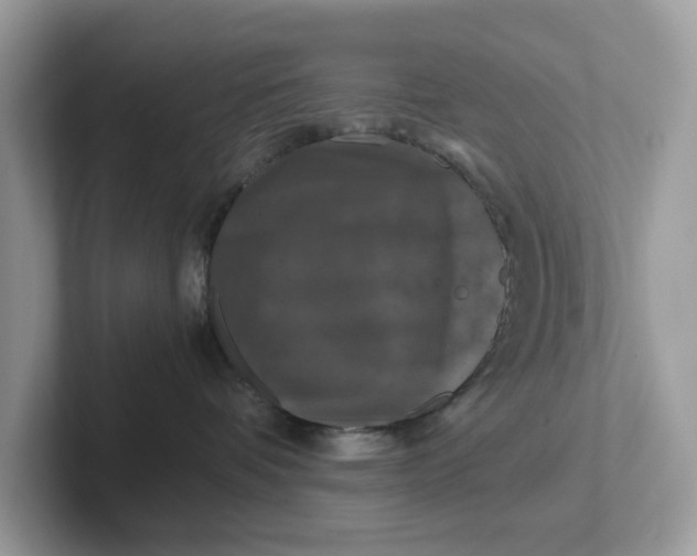 X0000101410336200807211101