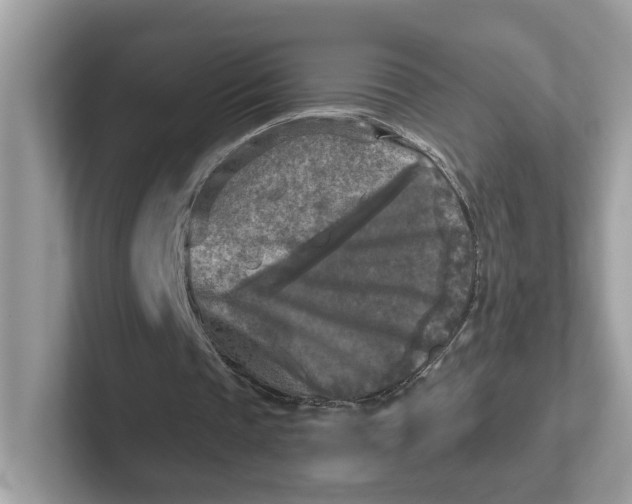 X0000101410337200807211100