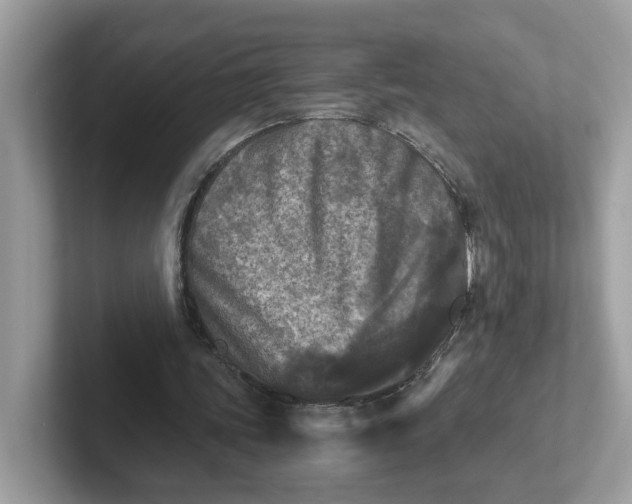 X0000101410339200807211100