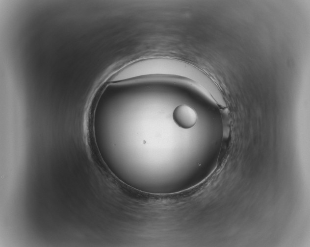 X0000101410340200807211100