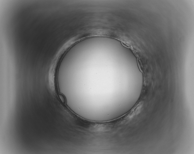 X0000101410341200807211100