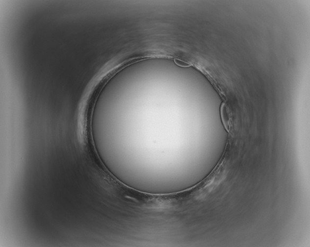 X0000101410343200807211100