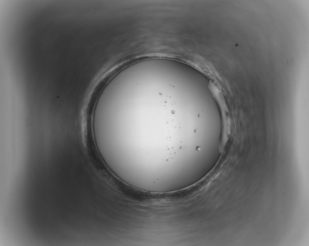 X0000101410344200807211100