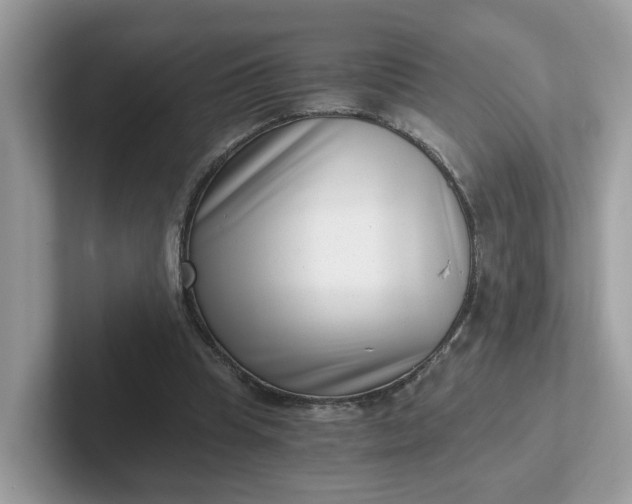 X0000101410345200807211100