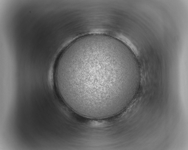 X0000101410346200807211100