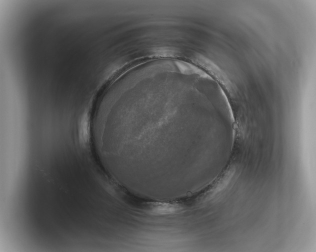 X0000101410347200807211100