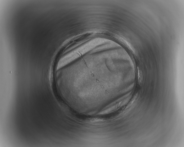 X0000101410348200807211100