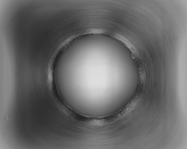 X0000101410350200807211100