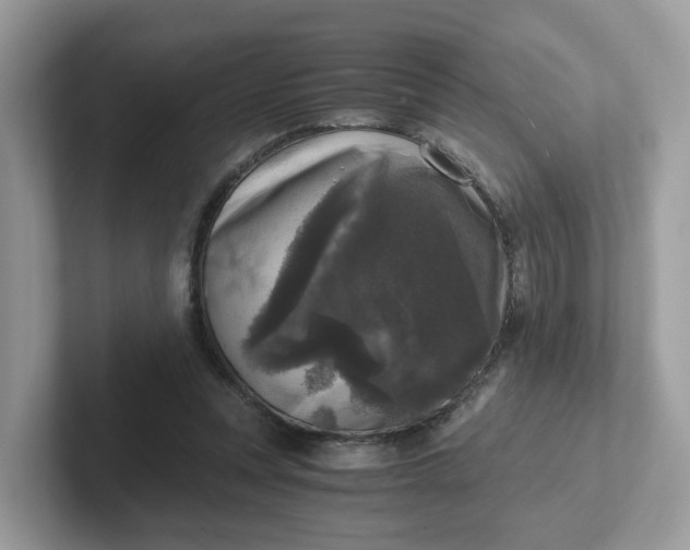 X0000101410351200807211100