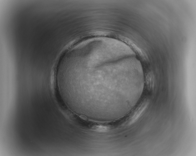 X0000101410352200807211100