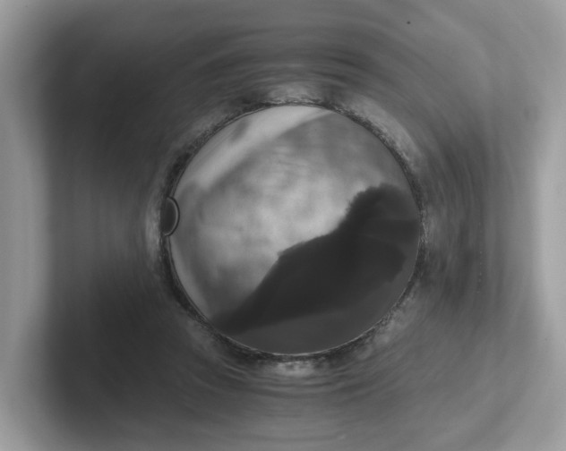 X0000101410353200807211100