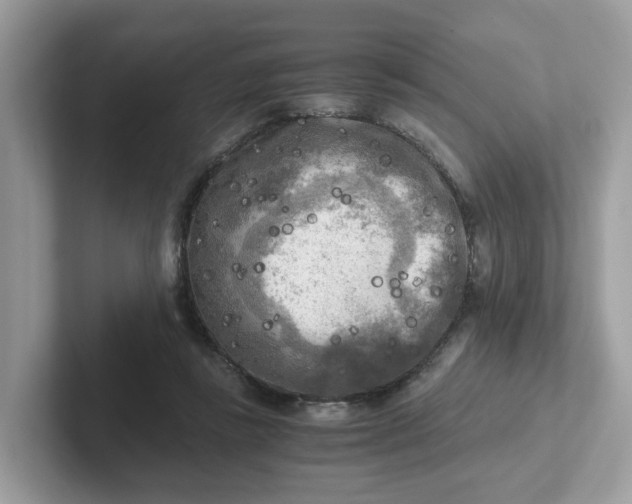 X0000101410355200807211100