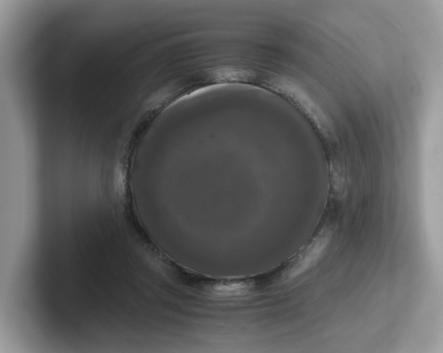 X0000101410357200807211100