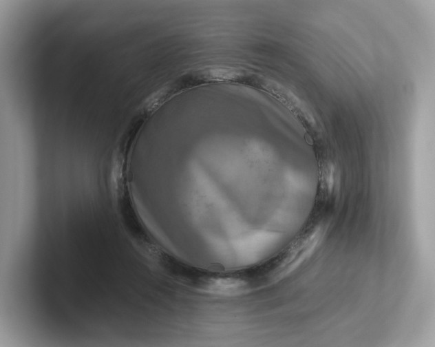 X0000101410360200807211100