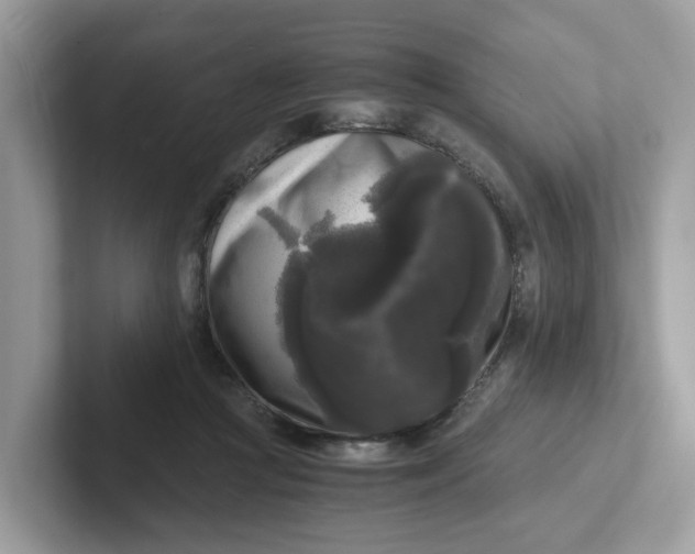 X0000101410361200807211100