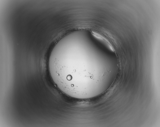 X0000101410362200807211100