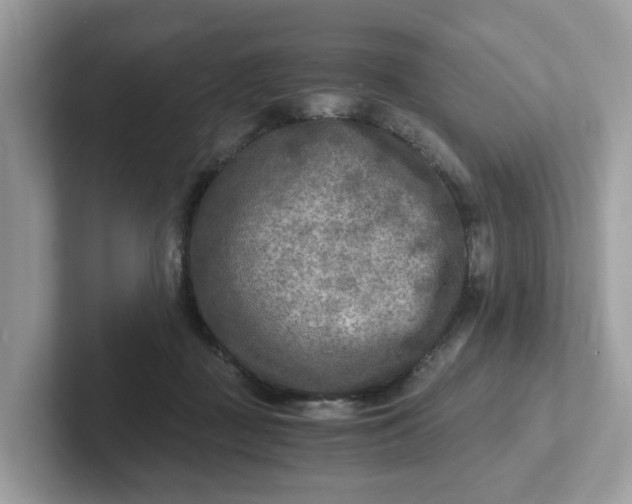 X0000101410363200807211100